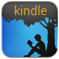 Kindle Version